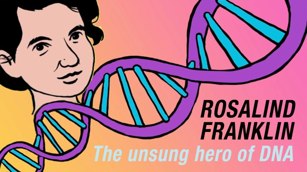 Rosalind Franklin, an English chemist, played a fundamental role in the discovery of the structure of DNA, RNA, coal and viruses in the 1950s. Image taken from youtube. 
